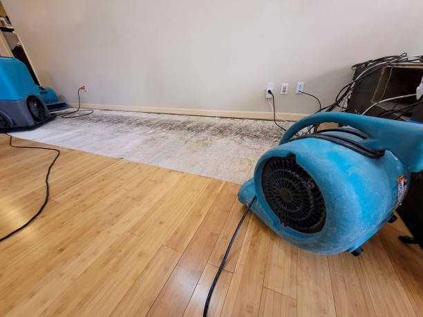 Professional Sewage Cleanup technician working in Kersey, CO